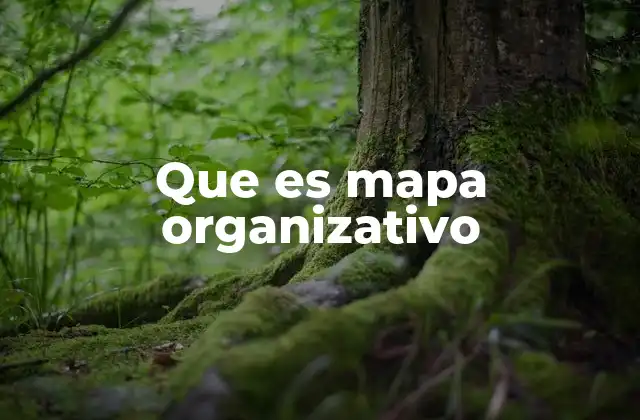 Que es Mapa Organizativo