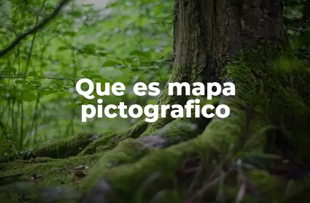 Que es Mapa Pictografico 2 La importancia de la visualización en la representación geográfica