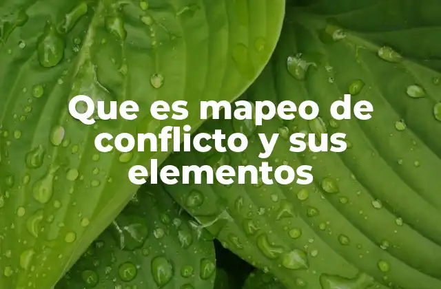 Que es Mapeo de Conflicto y Sus Elementos
