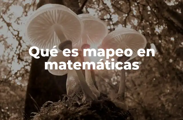 Qué es Mapeo en Matemáticas