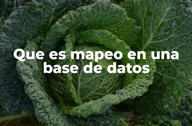 Que es Mapeo en una Base de Datos