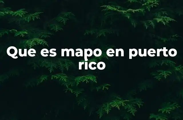 El mapo como expresión cultural puertorriqueña