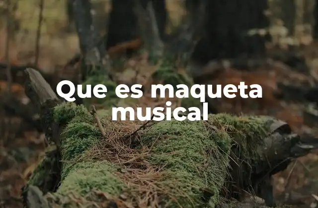 Que es Maqueta Musical