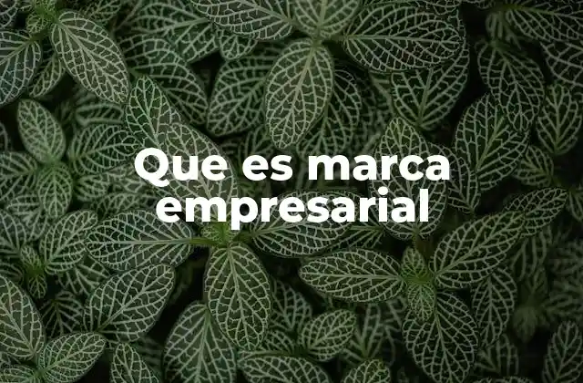 Que es Marca Empresarial 2 La identidad visual como base de la marca empresarial