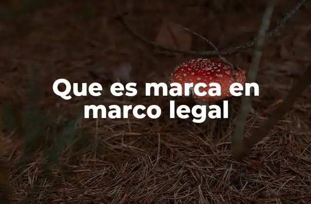 Que es Marca en Marco Legal 2 El rol de las marcas en la propiedad intelectual