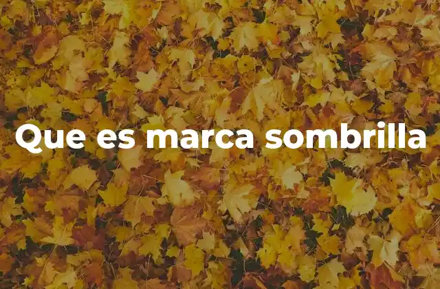 Que es Marca Sombrilla 2 Estrategias de branding basadas en una única identidad corporativa