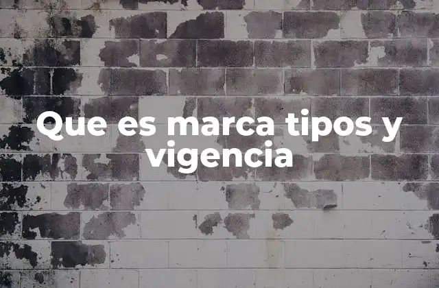 Que es Marca Tipos y Vigencia 2 Cómo las marcas son esenciales para diferenciar en el mercado
