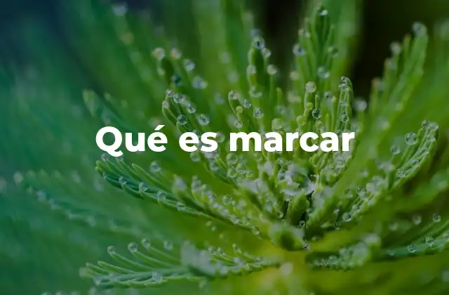 Qué es Marcar 2 El uso de marcar en diferentes contextos
