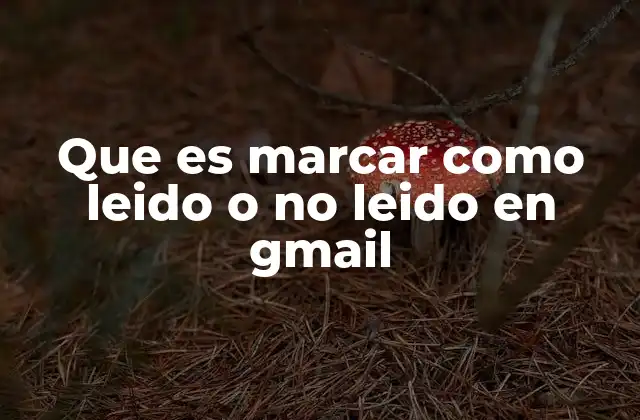 Cómo Gmail organiza los mensajes leídos y no leídos