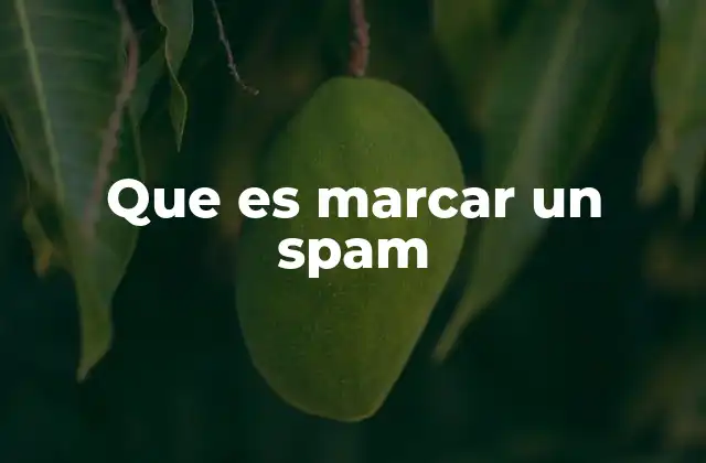 Que es Marcar un Spam