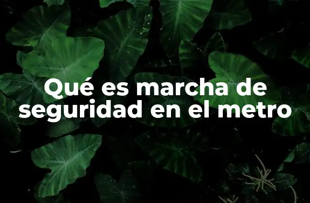 Qué es Marcha de Seguridad en el Metro