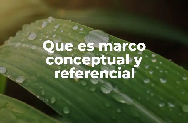 Que es Marco Conceptual y Referencial