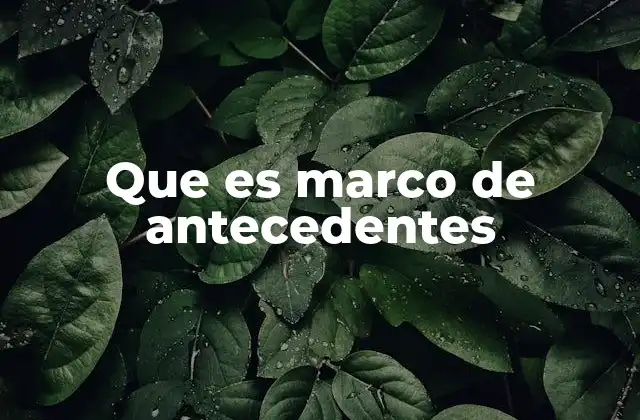 Que es Marco de Antecedentes