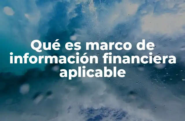 Qué es Marco de Información Financiera Aplicable