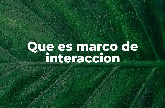 Que es Marco de Interaccion