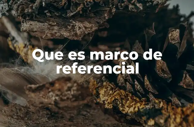 Que es Marco de Referencial