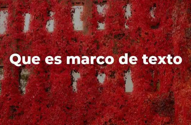 Que es Marco de Texto