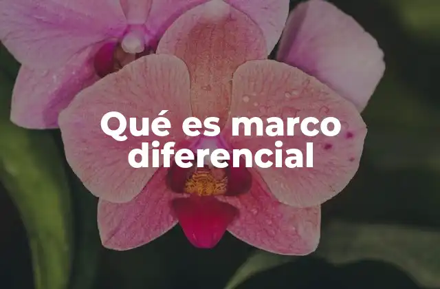 Qué es Marco Diferencial