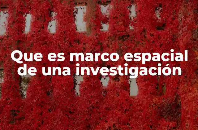 Que es Marco Espacial de una Investigación