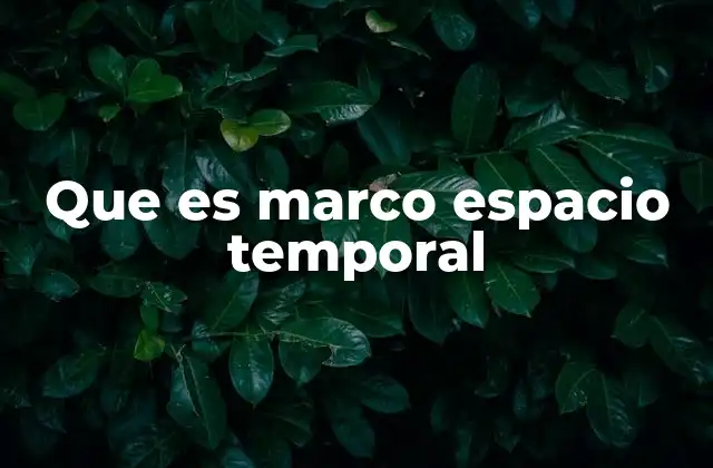 Que es Marco Espacio Temporal