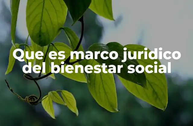 Que es Marco Juridico Del Bienestar Social