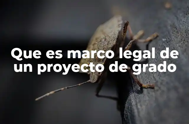 Que es Marco Legal de un Proyecto de Grado