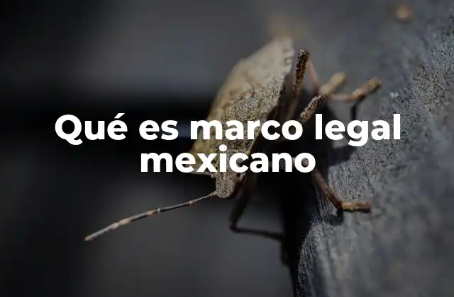 Qué es Marco Legal Mexicano