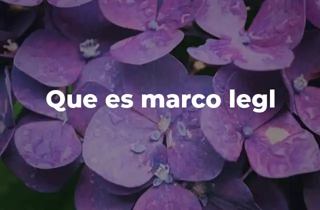 Que es Marco Legl