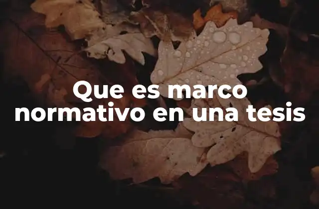 Que es Marco Normativo en una Tesis