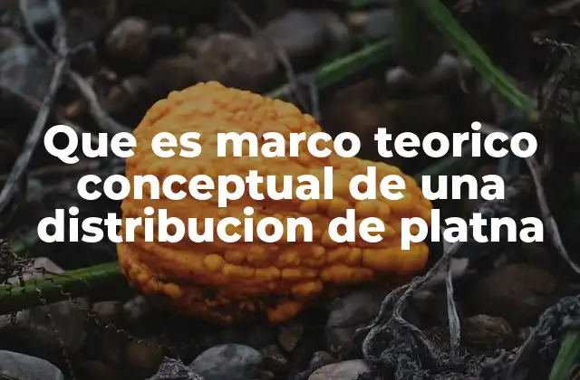 Fundamentos teóricos de la distribución de planta