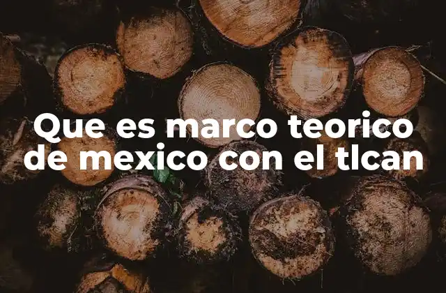 Que es Marco Teorico de Mexico con el Tlcan