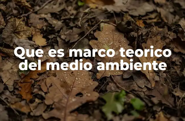 Que es Marco Teorico Del Medio Ambiente