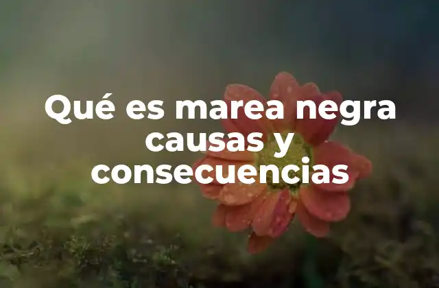 Causas principales de las mareas negras