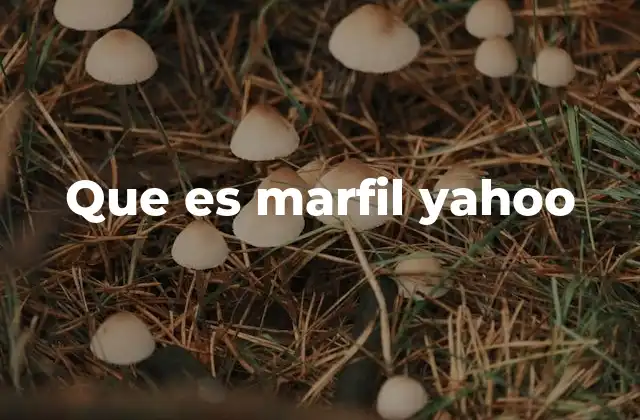Que es Marfil Yahoo