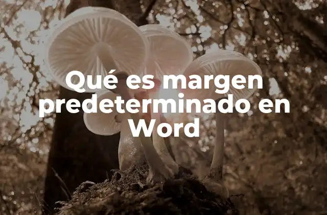 Qué es Margen Predeterminado en Word
