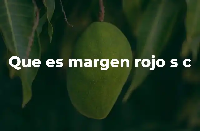 Que es Margen Rojo S C