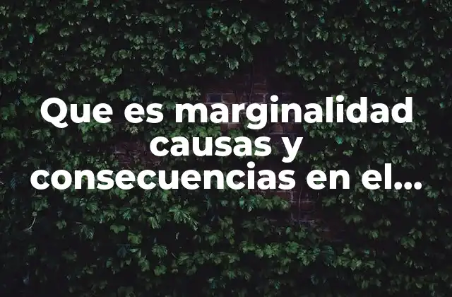 Que es Marginalidad Causas y Consecuencias en el Estado Venezolano
