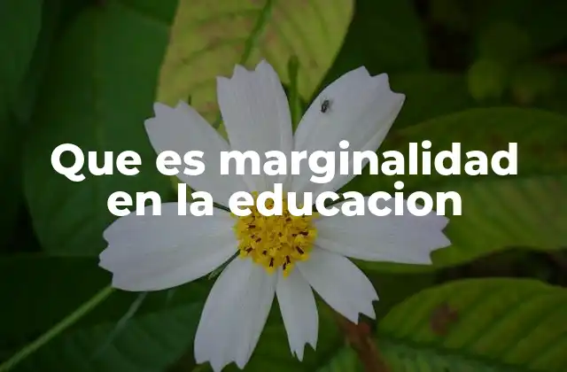 Que es Marginalidad en la Educacion