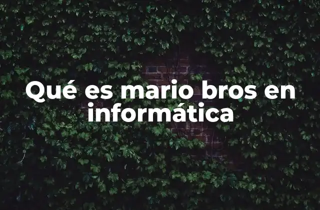 Qué es Mario Bros en Informática