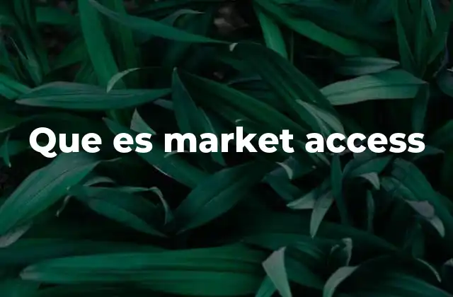 Que es Market Access