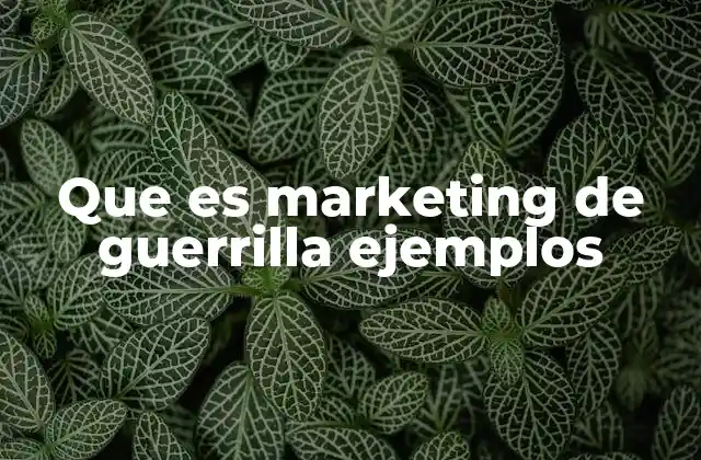 Que es Marketing de Guerrilla Ejemplos