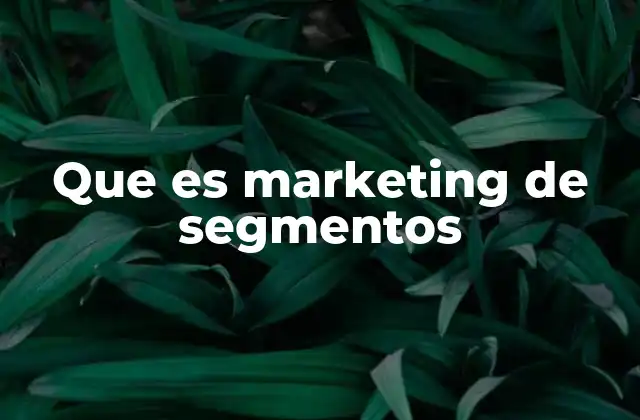 Que es Marketing de Segmentos