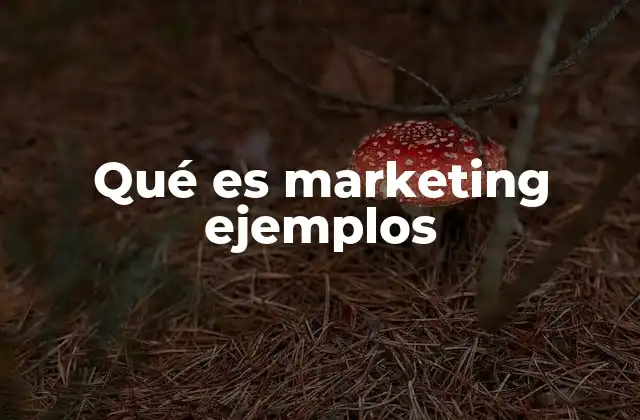Qué es Marketing Ejemplos