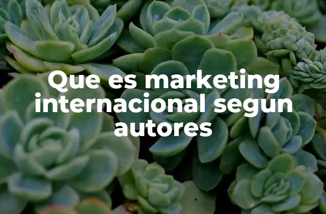 Que es Marketing Internacional Segun Autores