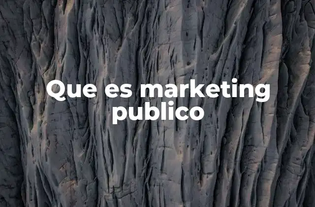 Que es Marketing Publico