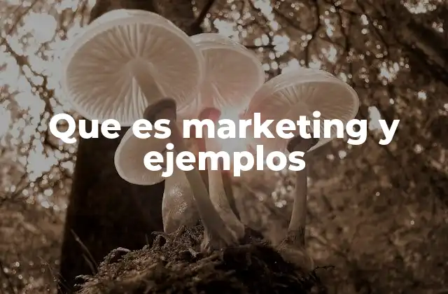 Que es Marketing y Ejemplos