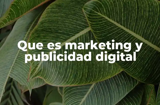 Que es Marketing y Publicidad Digital