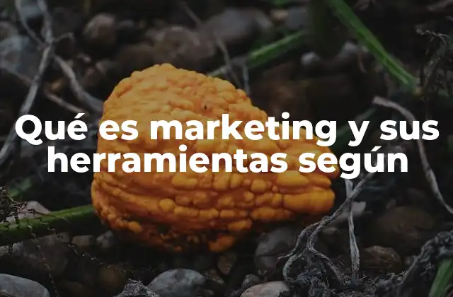 Qué es Marketing y Sus Herramientas según
