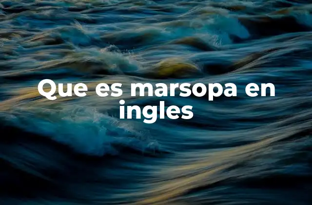 Diferencias entre marsopas y delfines en inglés
