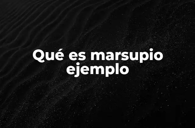 Qué es Marsupio Ejemplo